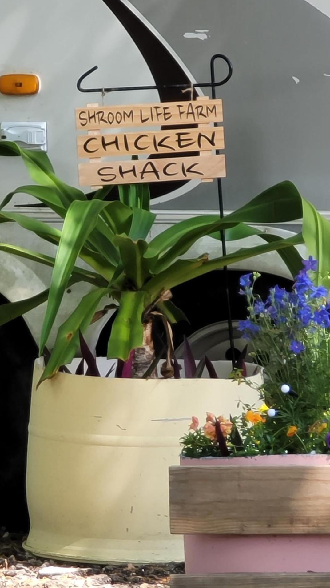Shroom Life Farm Chicken Shack North Fort Myers Exterior photo